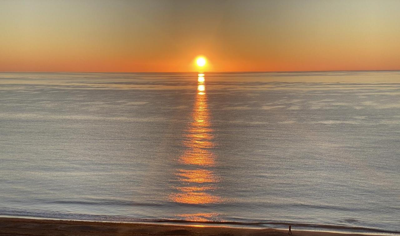 Los Reales 8B Estepona Dış mekan fotoğraf